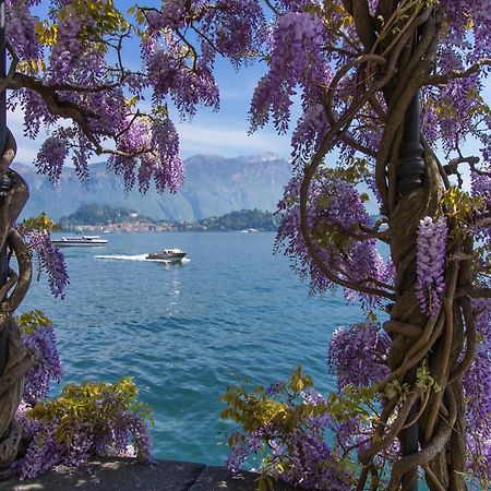 Como Lake Modern Apartament Ulivi Leilighet Mezzegra Eksteriør bilde