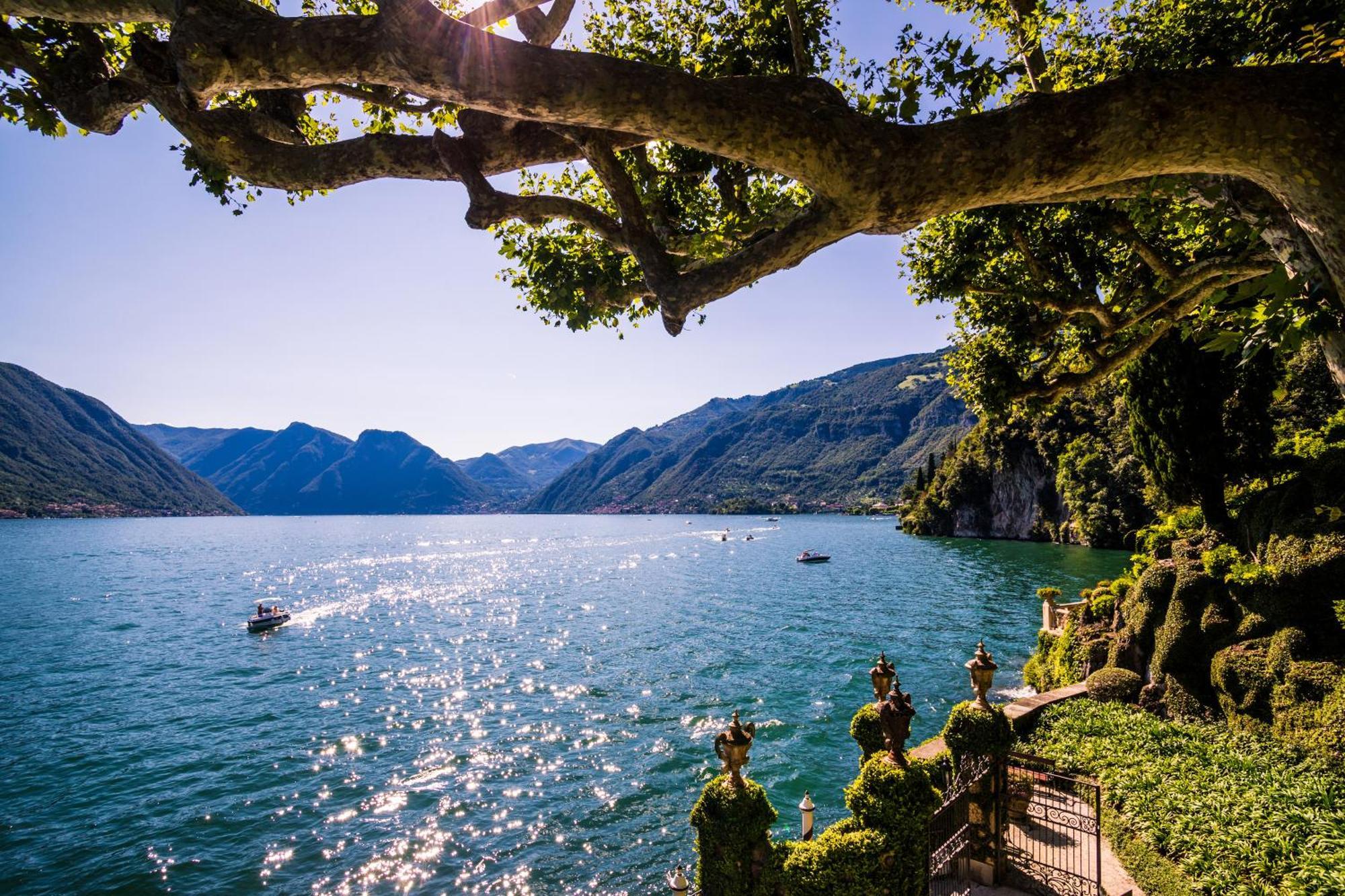Como Lake Modern Apartament Ulivi Leilighet Mezzegra Eksteriør bilde