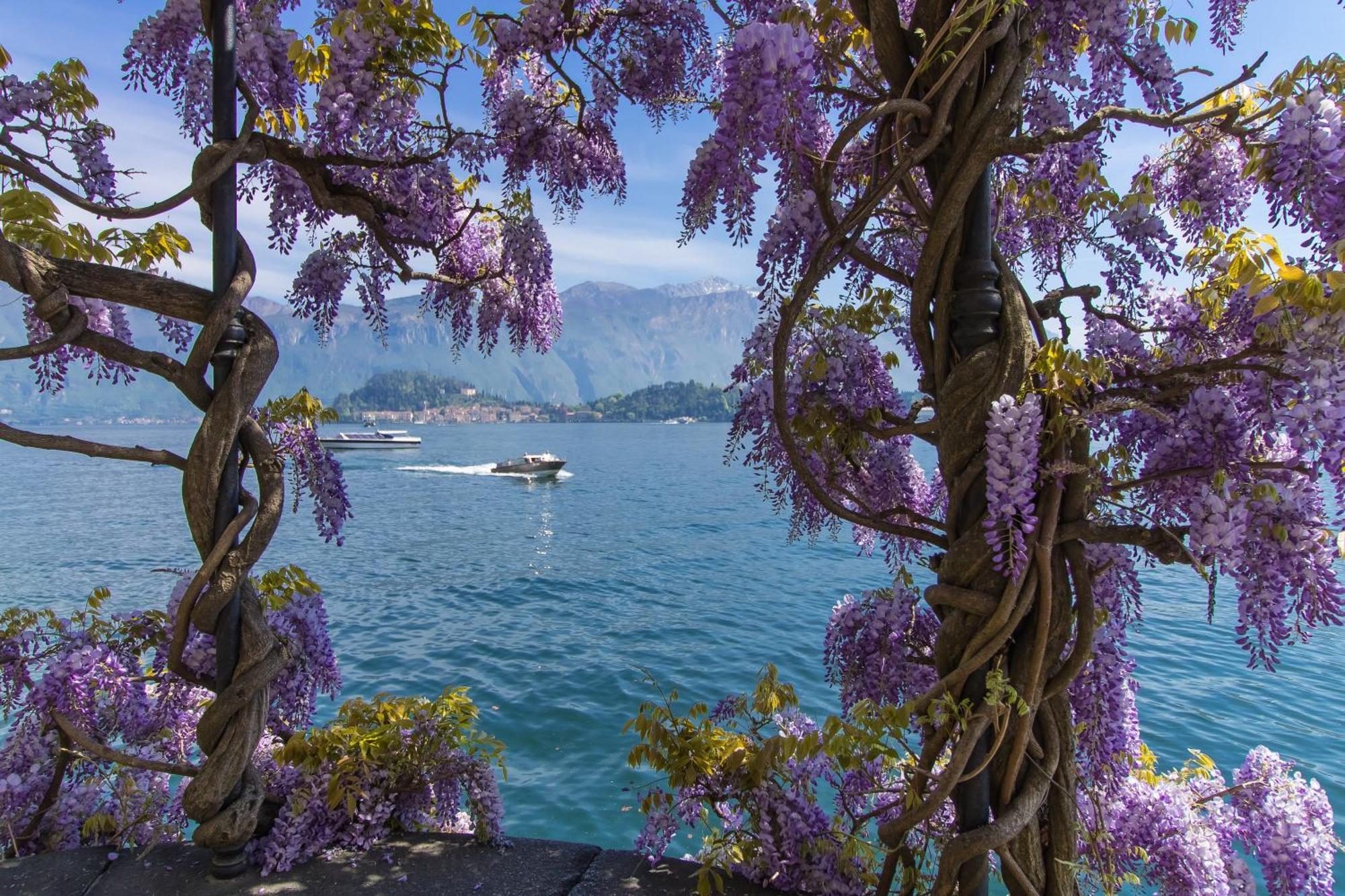 Como Lake Modern Apartament Ulivi Leilighet Mezzegra Eksteriør bilde